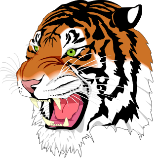Chromium (ground truth) render of tiger