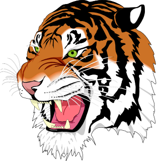 nanosvg render of tiger